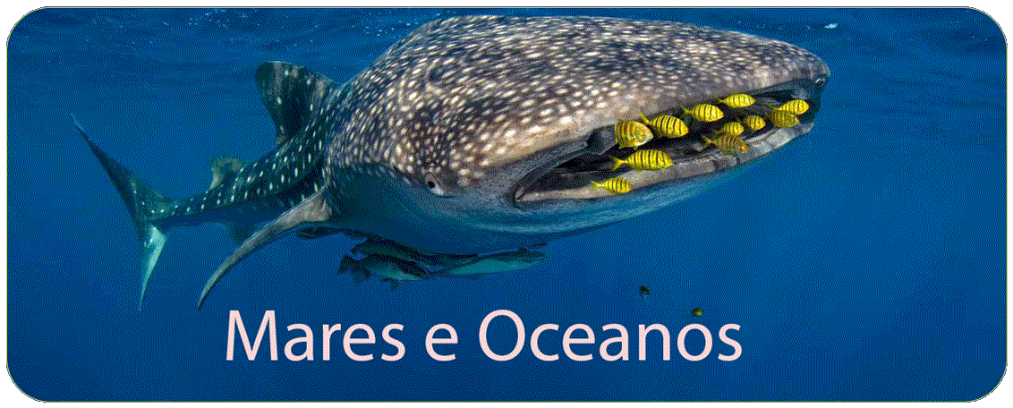 Mares e Oceanos